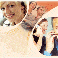 Enqu�te qualit� de services, sondage par t�l�phone
