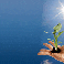 Exon�ration pour Jeunes Entreprises Innovantes JEI