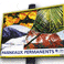 R�seau de panneaux d'affichage publicitaire