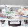 Epargne salariale, PEE, Plan Epargne Entreprise