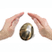 Assurances v�hicules de soci�t�