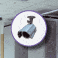 Cam�ras de vid�osurveillance pour magasins et commerces