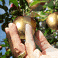 Am�lioration des pensions de retraite