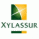 XYLASSUR