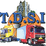 TDSI