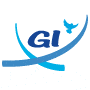 GI Informatique GI Informatique