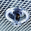 image Robinets incendie / Système déluge