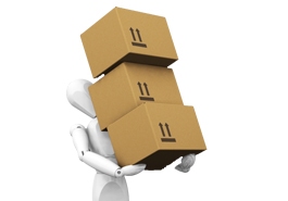 Formation aux gestes et postures en entreprise