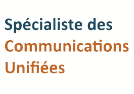 Standard téléphonique IP Hybride Standard téléphonique IP Hybride