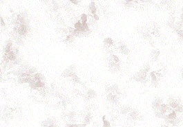 Livraison de fleurs en 4 heures