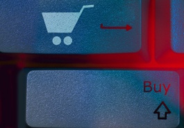 Solution e-commerce �conomique