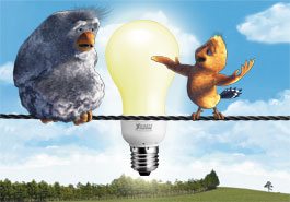 Fournisseur d'�lectricit�
