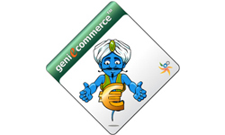 Geniecommerce, votre site e-commerce !