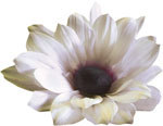 Coffrets cadeaux