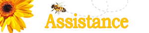assistance