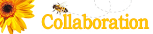 collaboration