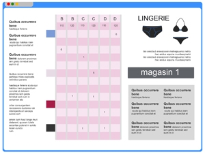 Logiciel de caisse magasin de lingerie