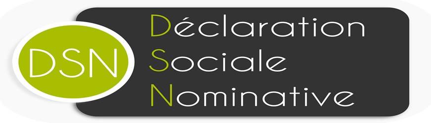 La Déclaration Sociale Nominative