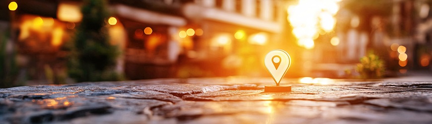 prix geolocalisation vehicule