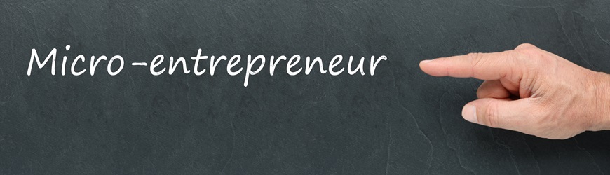 micro-entrepreneur
