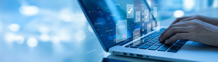 Internet professionnel