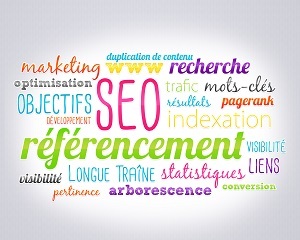 conseils-seo